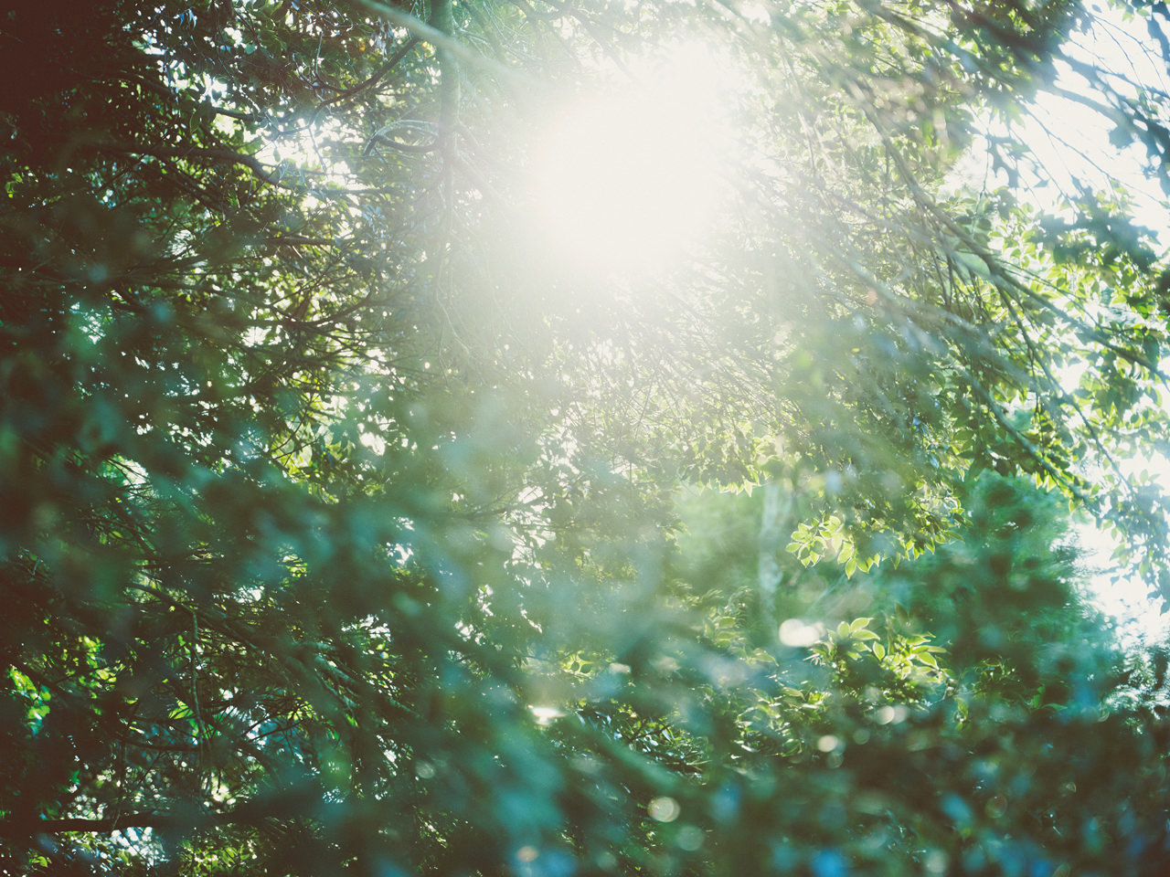 環境への取り組み