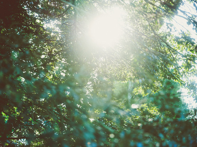 エクシオール 環境